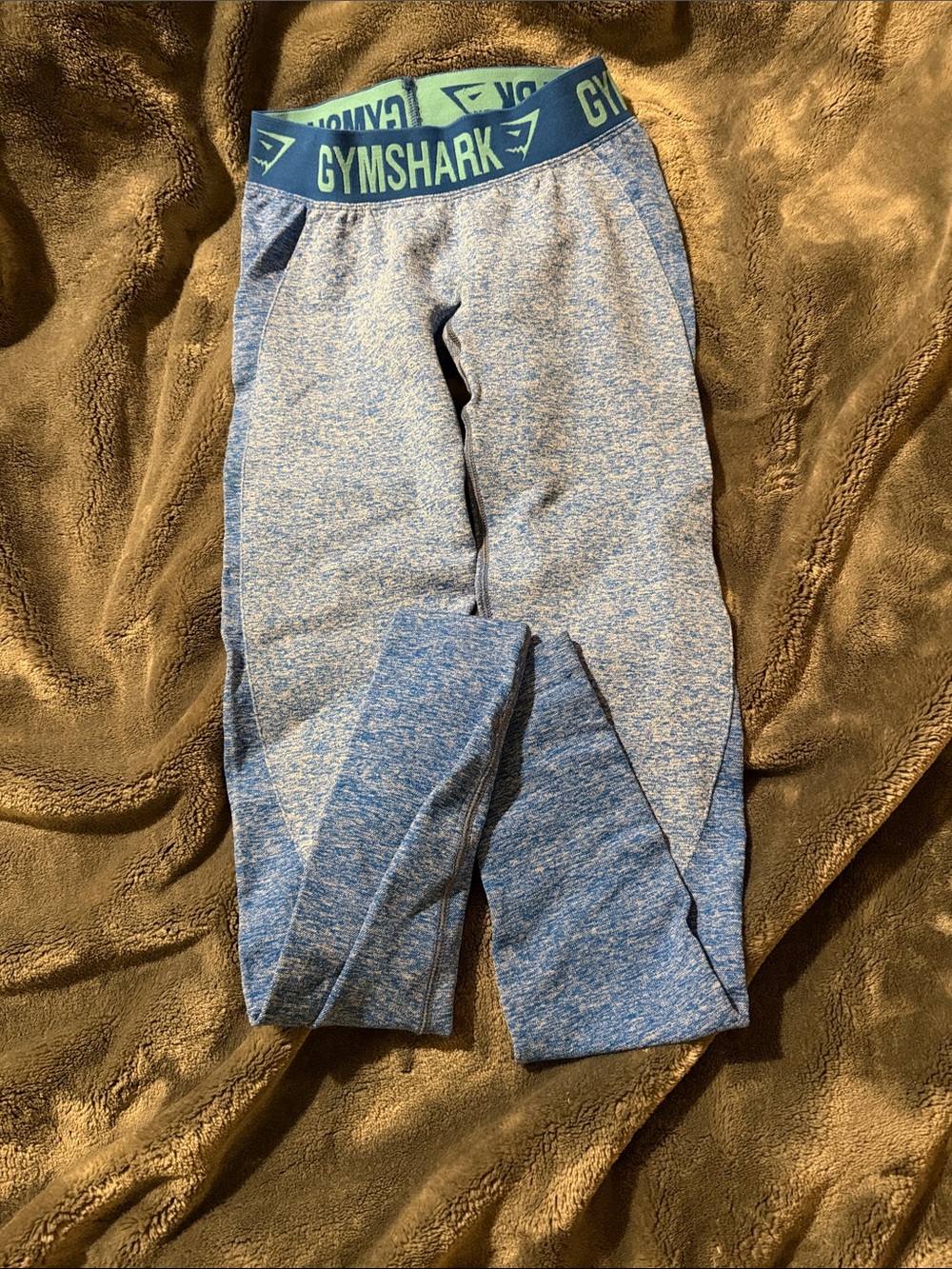 Gymshark Flex  Leggings with Teal Logo Waistband